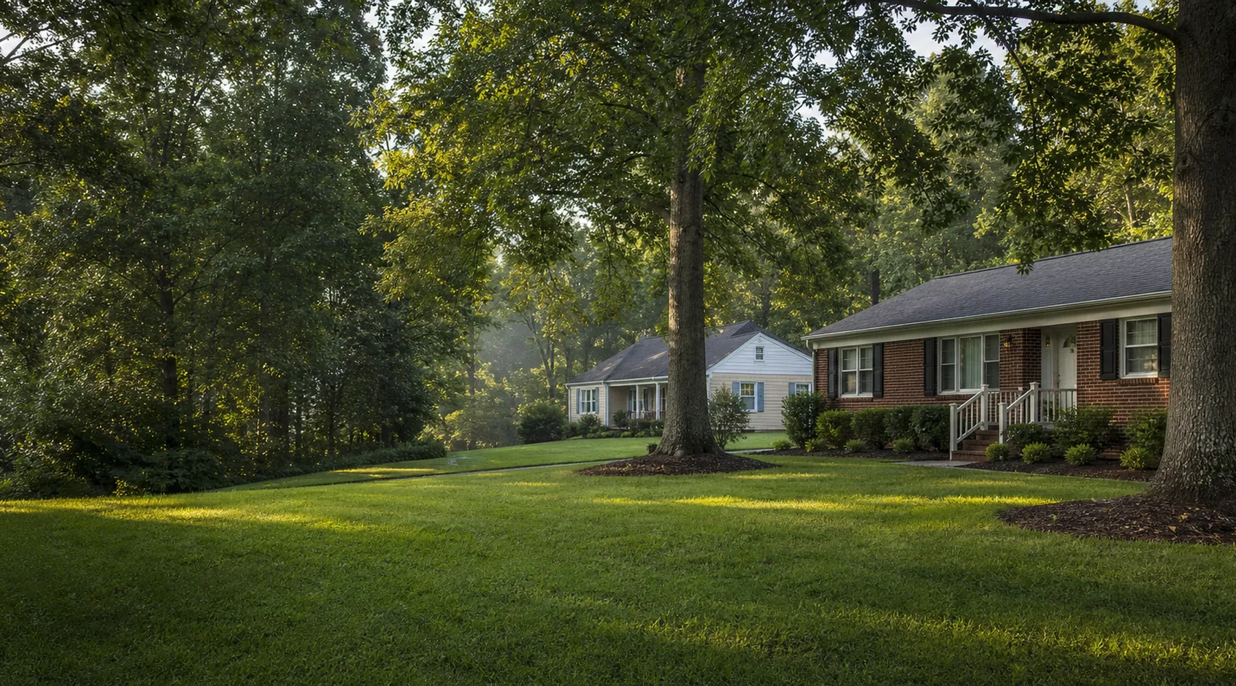 A believable Rock Hill-area home suited to residential tree removal planning
